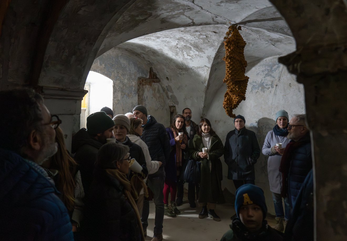 Mikovíniho dom: výstava ako iniciačný projekt