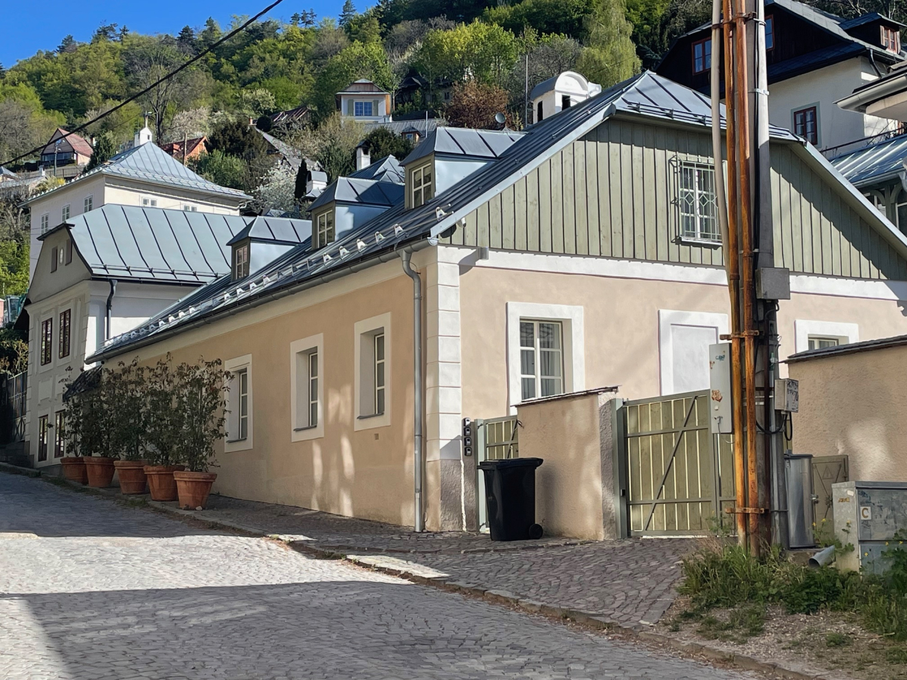 Paradox hibernácie: Rýchla obnova pamiatkam neprospieva